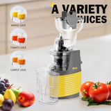 DSP 250W slow juicer Qatar