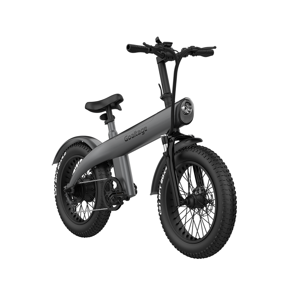 Goaltage EBK01 EcoMotion Electric Bike including Rechargeable Battery, 7-Speed Motor with Front and Rear Shock Absorber, Brake and Light